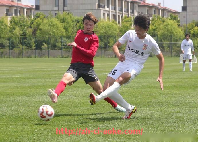 澳客足彩-意甲积分榜前列球队分析及争冠形势解读