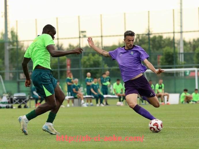 澳客足彩-法甲外援市场表现的多维度评估与未来潜力预测